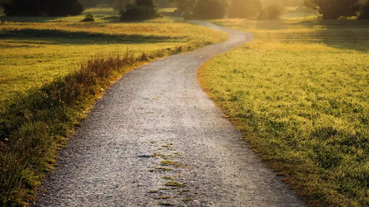 A winding path through a sunlit field