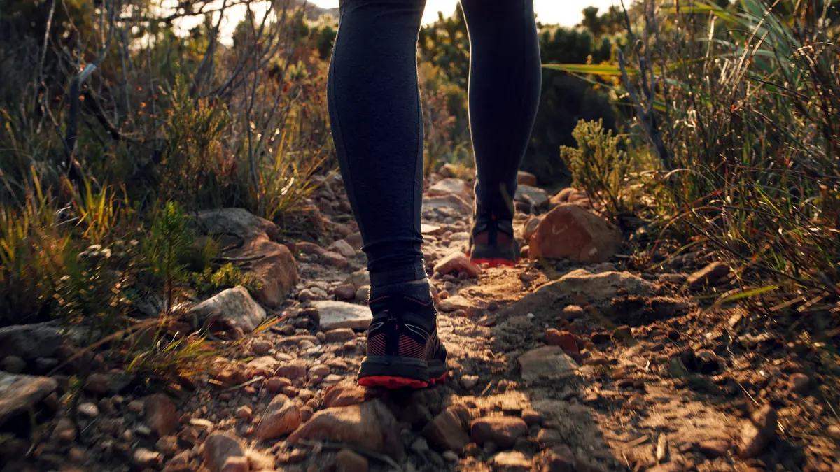 Legs of a person walking on a bush track