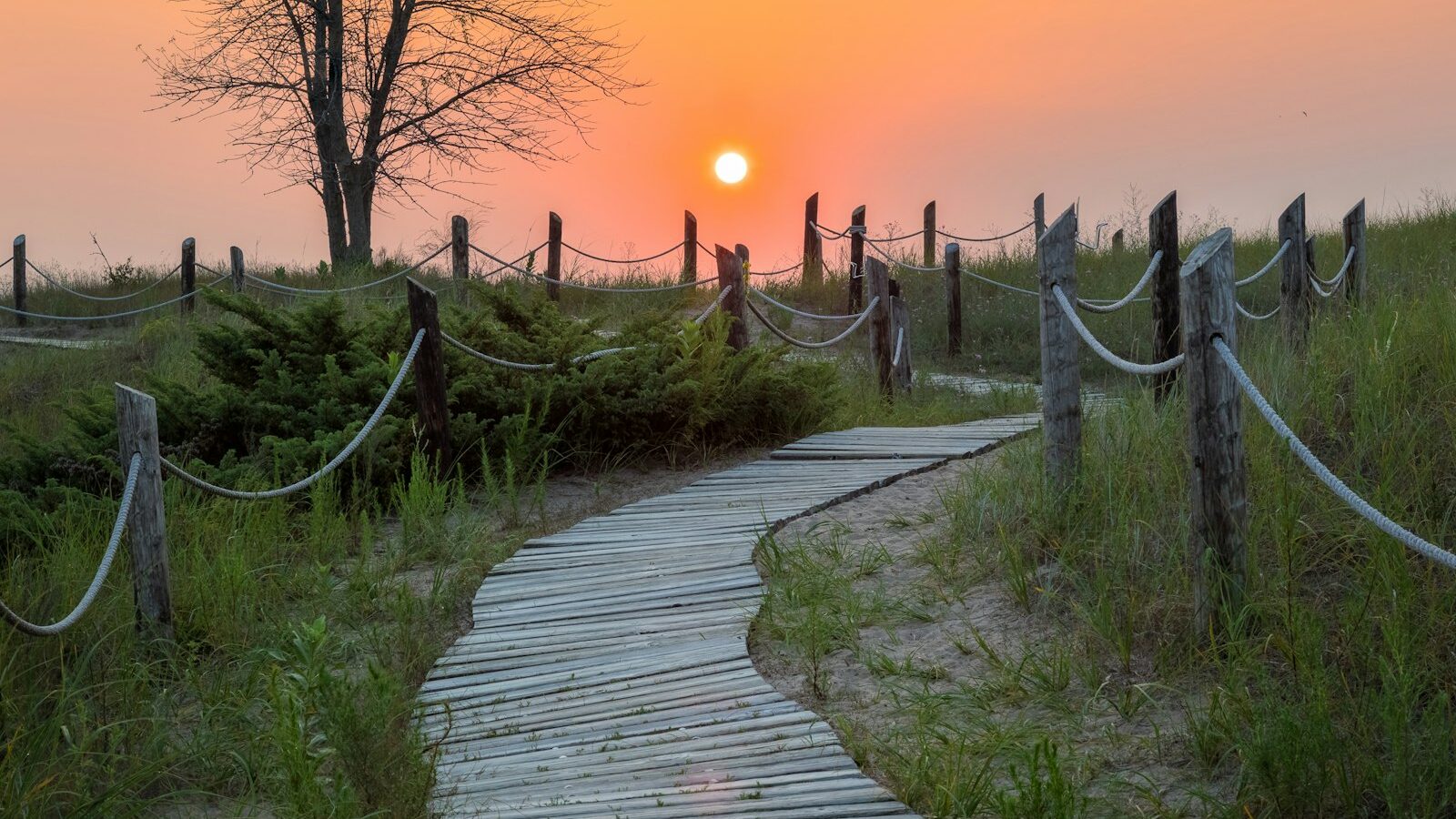 Wooden path through grass at sunset